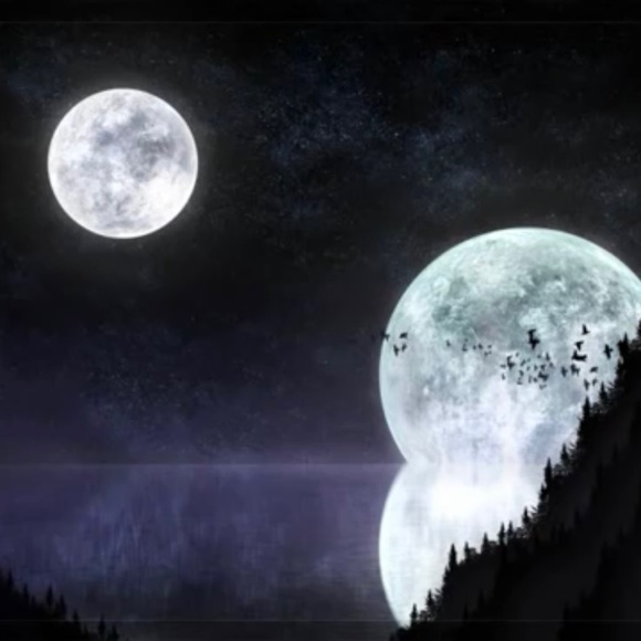 Meet your Posher, Paul - Picture 6 of 14